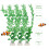 3Pcs Green Plastic Artificial Aquarium Plants Decor 2