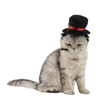 Pet Dog Cat Black Hat Holiday Cosplay Costume Accessory