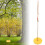 Kletterseil Baumschaukel Indoor Outdoor Disc 4