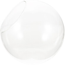 Glass Terrarium Für Pflanzen, Sukkulenten Und Luftpflanzen