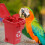 1 Set Conure Toy Color Sorting Bin Bird Teaching Tool Box Parrot Toy 11