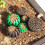 20 Pcs Plastic Fertilizer Boxes For Gardening Accessories 7