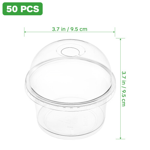 50Pcs Fruit Dessert With Lids 250Ml 1