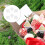 clear acrylic chocolate box holder 80 pcs diamond cup 10
