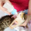 2Sets Puppy En Kitten Voedingsflessen Plastic Set Met Preciese 4