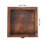 Insect Specimen Display Case Wooden Hook Type Protective Box 2