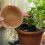 1 -kelle mit langem griff für garten 2