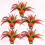 5Pcs Colorful Shuttlecocks For Kicking Exercise And Games 5