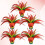5Pcs Colorful Shuttlecocks For Kicking Exercise And Games 8