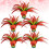 5Pcs Colorful Shuttlecocks For Kicking Exercise And Games 7