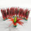 5Pcs Colorful Shuttlecocks For Kicking Exercise And Games 6