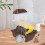 1Pc Double Layer Acrylic Hamster Cage For Chinchilla Brown 4