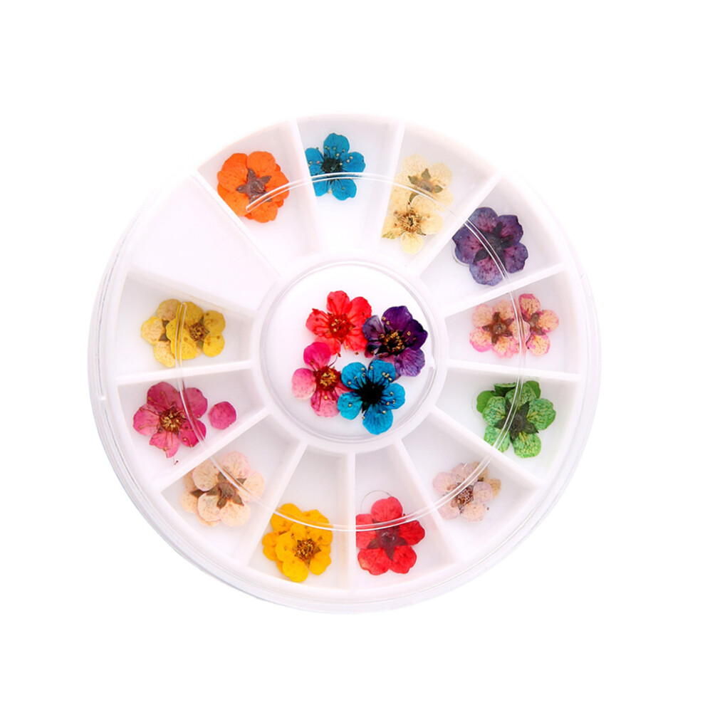 Totority 1 Box Of Manicure Dried Flowers Nail Art Plum Blossom Tips