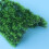 Fish Tank Square Artificial Grass Mat For Aquarium Decoration 11