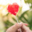 plastikstäbchen 1000 transparent für cake pops, , süßigkeiten 4