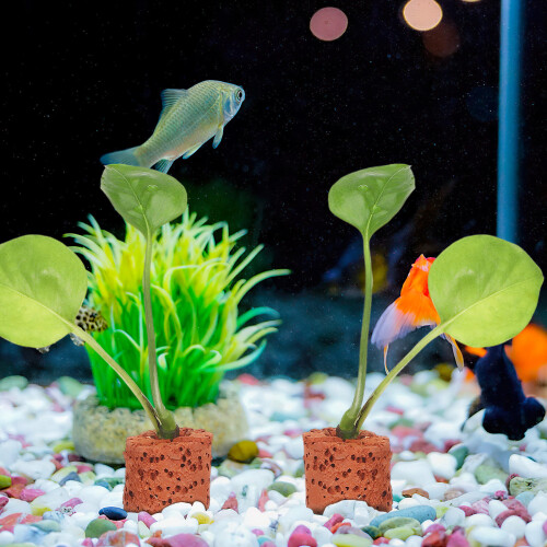 30Pcs Water Plant Fixed Ring for Fish Tank Grass Dark Red Pottery 2