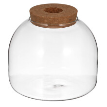 Glass Terrarium Jar with Wood Stopper for Hydroponic Plants