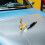 Eagle Hood Ornament Sticker: 3D Vogelslogo Auto Styling 5