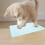 100 . almofadas absorventes descartáveis para e cães, 4