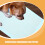 100 . almofadas absorventes descartáveis para e cães, 8