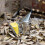 Beekeeping Tools Manual Smoker Mini Nozzle Stainless Steel Silver 5