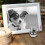 1Pc Creative Commemorate Urn Container For Pet Cremation 9