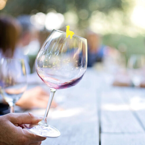 6 pezzi segnaposto in silicone per da vino 2