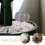 16 pezzi fertilizzante in per bonsai e orchidee 8