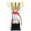 troféu metálica para escolar 24 cm 9