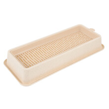 Kattengras plantenbak , hydrocultuur, plastic planter
