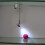 led für vitrine schmuck display tischleuchte 3 w 10