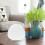 paper lantern table lamp modern bedside rice paper lamp plug 5