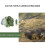 1 Cactus Design Tigela Répteis 10