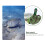 1 Cactus Design Tigela Répteis 8