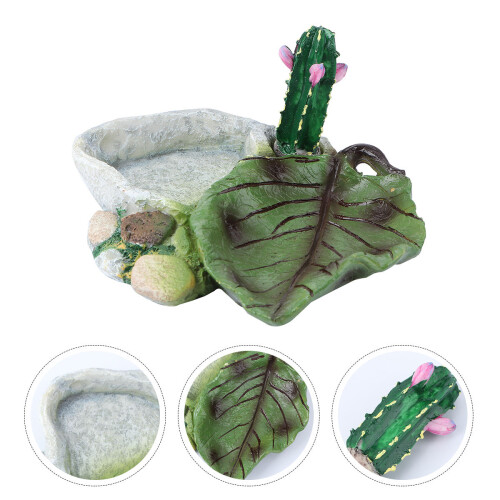1 Cactus Design Tigela Répteis 2