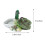 1 Cactus Design Tigela Répteis 2