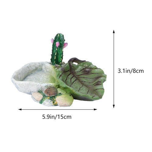 1 Cactus Design Tigela Répteis 1