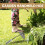 houe de jardin en durci pour désherber planter 9