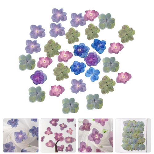 30Pcs Pressed Flowers For Diy Scrapbooking And Decorative Use 2
