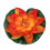 3 Pcs Artificial Floating Water Decor 18cm 9