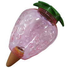 Roze Kunststof Aardbei Zelfbewatering Globes Voor