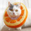 Adjustable Cat Cone Collar Soft, Cat Recovery Collar,Cute Cat Recovery Collar 1