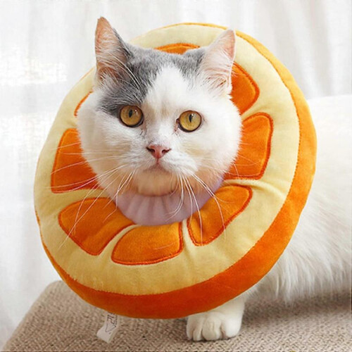 Adjustable Cat Cone Collar Soft, Cat Recovery Collar,Cute Cat Recovery Collar
