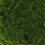 Faux Moss Ball Green Plastic Durable And Versatile For Decor 8