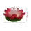 5 pezzi led 11,5 cm galleggiante piscina 3