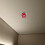 per testa sprinkler antincendio con protezione e piastra allarme 6