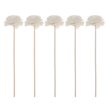 5 rattanstäbchen aus natürlichem schilf für öldiffusor mit blumenkopf