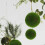 2pcs Artificial Moss Grass Balls for Ceiling Decor Window Display 3