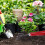 2 pcs practical three-tooth weeding rake for garden use 7