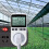 Digital Temperature Controller, Heating Cooling Thermostat Socket LCD Temperature Controller, 230v for Greenhouse Farm Temperature Controller(socket) 13